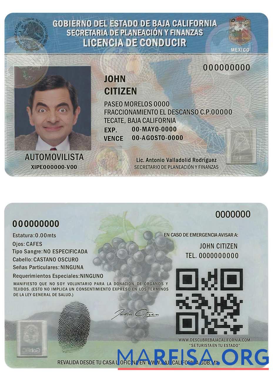 Blank Mexico Baja California driving license sample